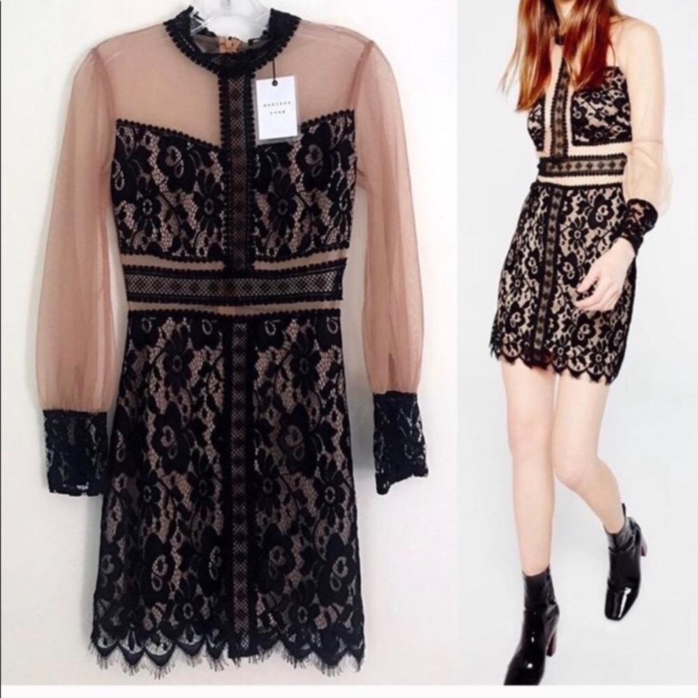 AMAZING Long Sleeve Mesh Dress with Black Lace 🖤
